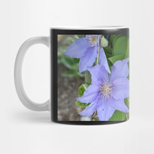 Clematis Fuji-Museme Flowers 1 Mug